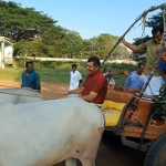 Tiruvarur District Superintendent of Police participated in the Pongal festival by driving a bullock cart with enthusiasm-p2