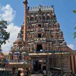1008 Sangabhishekam performed with special Yaga in Tirunageswaram Arulmiku Naganathaswamy Temple on the occasion of Maha Shivratri-p1