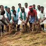 Heavy rains in Gudavasal area caused extensive damage to paddy crops – Coordinator of Farmers Unions PR Pandian consoled the farmers-p2 (2)