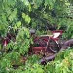 Kumbakonam Municipal Corporation Deputy Mayor inspects over thirty bicycles damaged by tree branch falling on ARR High School-p4 (2)