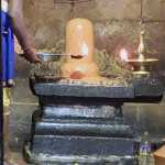 Maha Shivratri Festival at Thirupampuram Sriseshapuriswarar Temple known as Thenkalahasti Devotees turn out in large numbers-p2