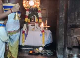 தென்காலஹஸ்தி என அழைக்கப்படும் திருபாம்புரம் ஸ்ரீசேஷபுரீஸ்வரர் சிவாலயத்தில் மகா சிவராத்திரி விழா: திரளான பக்தர்கள் பங்கேற்பு
