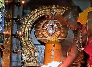 மகா சிவராத்திரியை முன்னிட்டு நாகேஸ்வரம் அருள்மிகு காமாட்சியம்மன் சமேத ஏகாம்பரேஸ்வரசுவாமி திருக்கோயிலில் விடிய விடிய நடைப்பெற்ற சிறப்பு அபிஷேக ஆராதனைகள் …