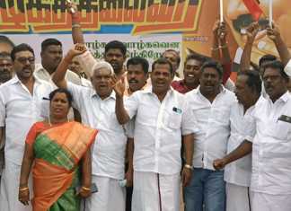 முதலமைச்சர் மு.க.ஸ்டாலினின் 70 வது பிறந்தநாளை பட்டாசு வெடித்தும், பொதுமக்களுக்கு இனிப்புகள் வழங்கியும் கொண்டாடிய திருவாரூர் நகர திமுக கட்சியினர் …