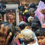 Surya Puja performed very well at Nellikaval Arulmiku Sreenellivanatha Swamy Temple -p5