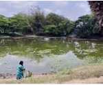 Simizhi panchayat administration restored two ponds which had been under private occupation for 50 years with the help of the public