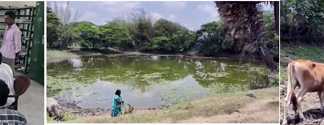 50 ஆண்டு காலமாக தனியார் ஆக்கிரமிப்பிலிருந்த இரண்டு குளங்களை பொதுமக்களின் துணையுடன் மீட்டெடுத்த சிமிழி ஊராட்சி நிர்வாகம் …
