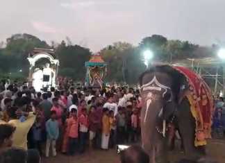 சுவாமிமலை அருள்மிகு ஸ்ரீசுவாமிநாதசுவாமி ஸ்ரீவள்ளி திருமண வைபவத்தை முன்னிட்டு அரசலாற்றங்கரையில் நடைப்பெற்ற யானை விரட்டல் நிகழ்வு …