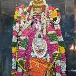 300 devotees carried a 4 ton weight chariot on their shoulders at the famous Nagarasampet Arulmiku SriAlagu Nachiyamman temple-p3