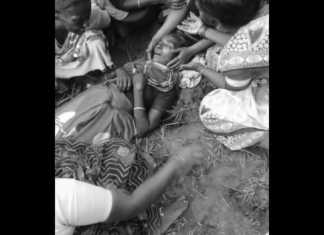 மாடு மேய்ச்சலில் ஈடுப்பட்டிருந்த மூதாட்டி மீது மின் கம்பி அறுந்து விழுந்து பலி : பேரளம் காவல்துறையினர் தீவிர விசாரணை …