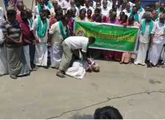 திருவாரூர் மாவட்ட ஆட்சியர் அலுவலகம் முன்பு கண்டன போராட்டம் நடத்திய பருத்தி விவசாயிகள் : ஆர்ப்பாட்டத்தின் போது திடீரென மயங்கி விழுந்த விவசாயினால் ஆர்ப்பாட்டத்தில் பரபரப்பு ..