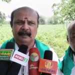 Damage to cotton crop due to summer rains… Farmers are suffering… Request to the government for relief-p2