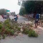 Maintenance work on national and state highways for road safety – Removal of tree branches in center median area of Chengalpattu highway-p1