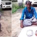 Seizure of whale remains worth Rs 6 crore – Thiruvarur district forest officials take action