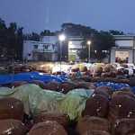 2000 bales of cotton soaked in rain and damaged in Tiruvarur government regulation sale hall-p2