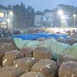 2000 bales of cotton soaked in rain and damaged in Tiruvarur government regulation sale hall-p6