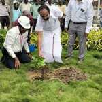 The ongoing construction work of the third station for the expansion of North Chennai Thermal Power Station -p2