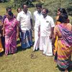 In honor of the palm tree which gives various benefits, the palm seed planting ceremony held in Palavekadu area-p2