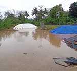 Paddy bags worth several lakhs in the temporary paddy procurement stations in Thiruvidaimarudur district were damaged by the rain-2
