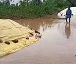 Paddy bags worth several lakhs in the temporary paddy procurement stations in Thiruvidaimarudur district were damaged by the rain-3