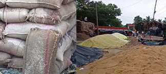 திருவிடைமருதூர் சுற்று வட்டார பகுதிகளில் உள்ள தற்காலிக நெல் கொள்முதல் நிலையங்களில் இருந்த பல இலட்சம் மதிப்பிலான நெல் மூட்டைகள் மழையில் நனைந்து சேதம் …
