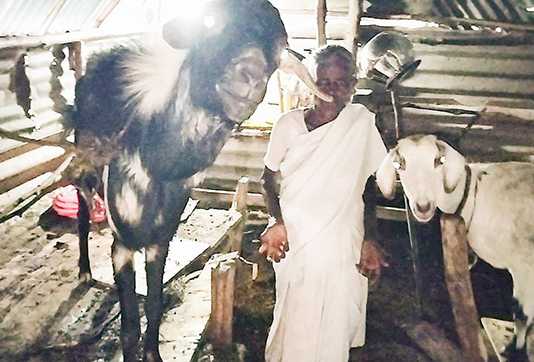 மூன்றாண்டு காலமாக அடிப்படை வசதிகள் இல்லாமல் தனிமையில் வாழும் மூதாட்டி …