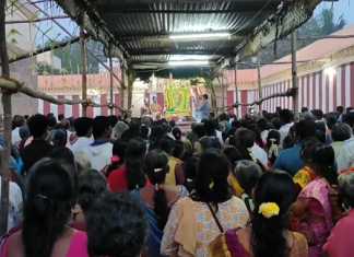 வைகுண்ட ஏகாதசியினை முன்னிட்டு திருச்சேறை அருள்மிகு ஸ்ரீ சாரநாயகி தாயார் சமேத சாரநாதப்பெருமாள் திருக்கோயிலில் நடைப்பெற்ற சொர்க்க வாசல் திறப்பு விழா ….