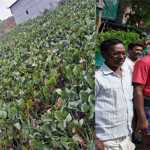Present and former Ambattur legislators and Tamil Nadu Tawheed Jamaat organization visited Migjam storm-affected areas and offered condolences