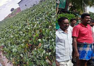 மிக்ஜாம் புயல் வெள்ளத்தால் பாதிக்கப்பட்ட பகுதிகளை பார்வையிட்டு ஆறுதல் தெரிவித்த இன்னாள் மற்றும் முன்னாள் அம்பத்தூர் சட்டமன்ற உறுப்பினர்கள் மற்றும் தமிழ்நாடு தவ்ஹீத் ஜமாஅத் அமைப்பு …