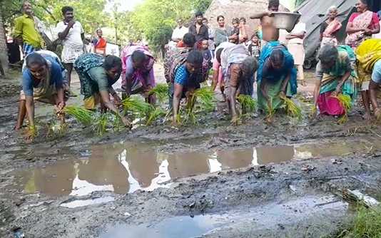 சாலையில் நாற்று நட்டு போராட்டத்தில் ஈடுப்பட்ட திருவாரூர் அருகேவுள்ள எண்கண் கிராம மக்கள் …