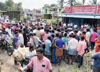 தொடர்ந்து நிலவி வரும் மின்தடையைக் கண்டித்து சாலை மறியல் போராட்டத்தில் ஈடுப்பட்ட பொன்னேரி வட்டாரப் பகுதி மக்கள் ….