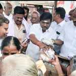 AIADMK members of Meenjoor area celebrated former Chief Minister Jayalalithaa’s birthday by serving delicious food to Nalindor-p1