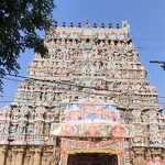 Arulmiku Nageswara Swamy Temple Panguni Uthra Brahmotsavath Thirutherota Ceremony held in Kumbakonam City…p4