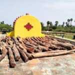 Sheep logs worth Rs. 2 lakhs were hoarded in Alappakkam village – Senggunram forest stock guards are investigating the mysterious persons involved in the smuggling-ஜ2