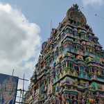 The Pangunith Chariot Festival at Nachiargo, which was held in a very good manner, was held at Arulmiku Sriseenivasap Perumal Thirukoil…p3
