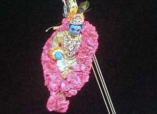 திருவையாறில் திரளான பக்தர்கள் பங்கேற்று வெகுச் சிறப்பாக நடைப்பெற்ற பொம்மை பூ போடும் விழா …