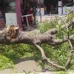 Pasumadu dies due to electrocution due to downed power line during accident in Kumbakonam-p2